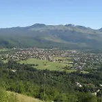 David-drazice