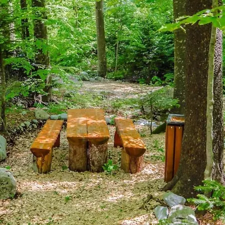 Lejlighed David-drazice