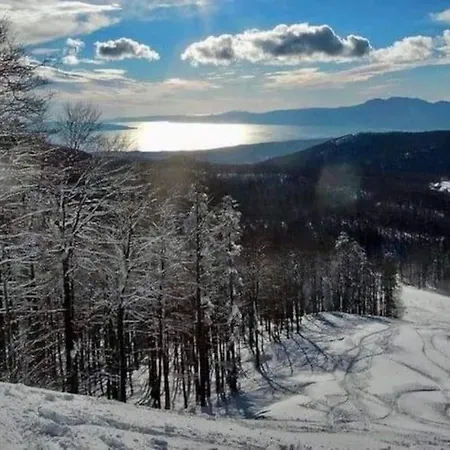 David-drazice Lejlighed Drazice