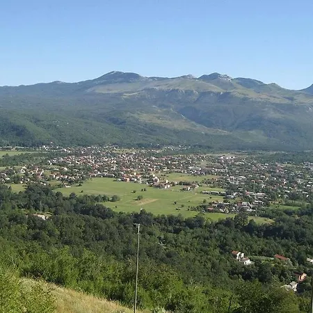 David-drazice