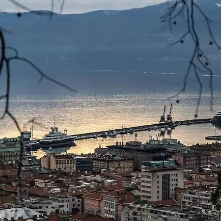 David-drazice Drazice