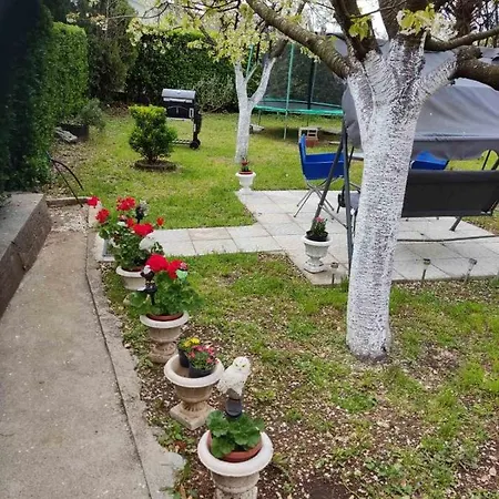 David-drazice Lejlighed Drazice