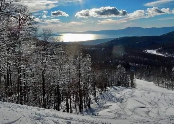 David-drazice Διαμέρισμα Drazice