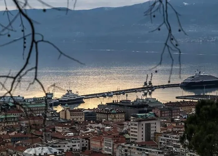 David-drazice Drazice